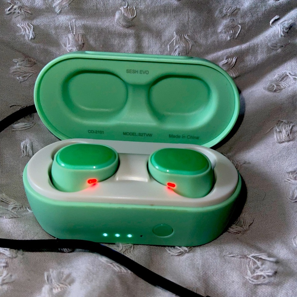 Skull Candy Sean Evo Ear Buds